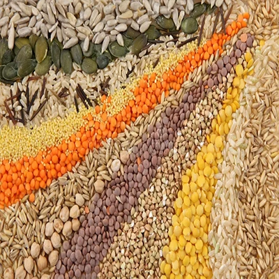 Grains & seeds